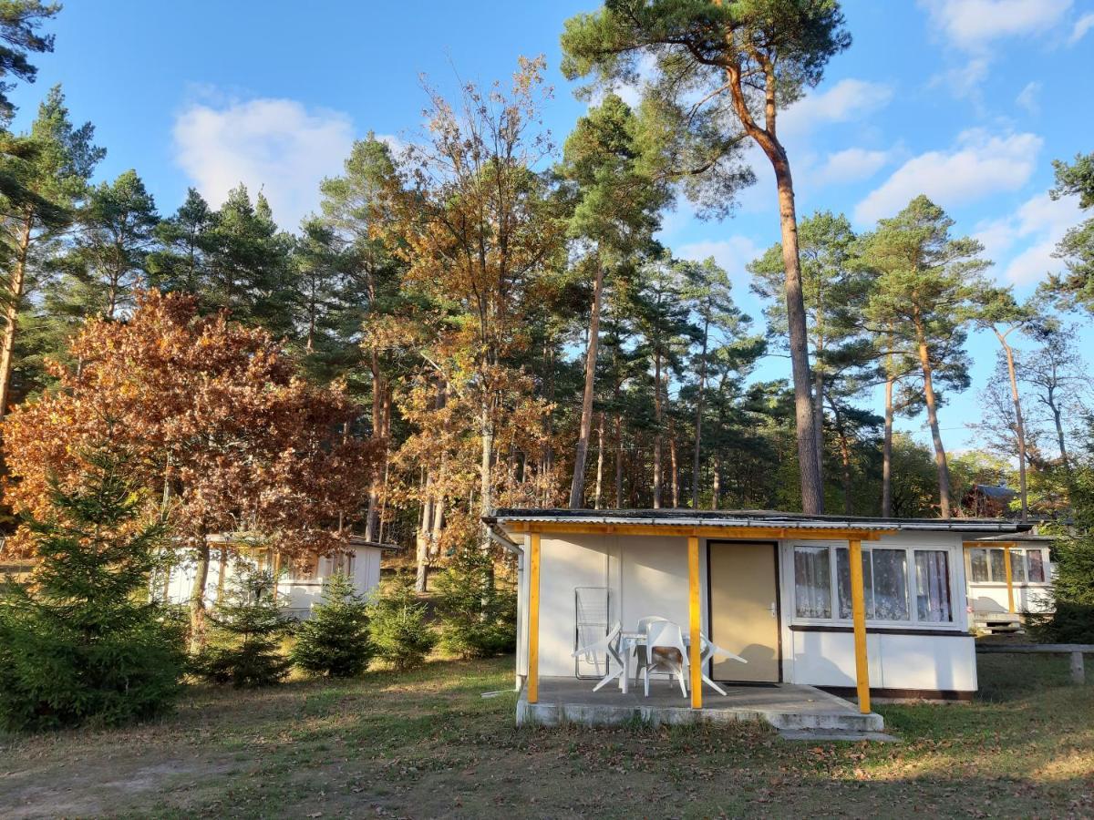Ferienpark Seenland Lychen Eksteriør billede